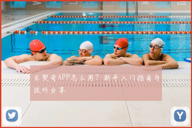 东契奇APP怎么用？新手入门指南与技巧分享