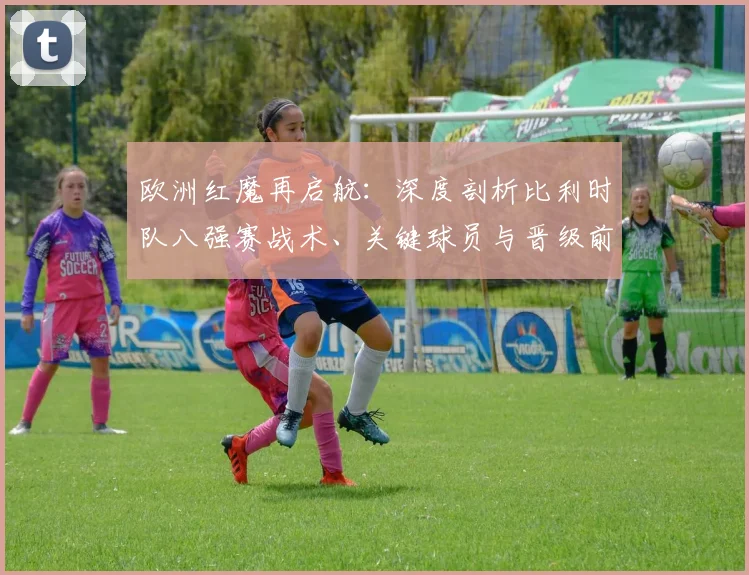 欧洲红魔再启航：深度剖析比利时队八强赛战术、关键球员与晋级前景