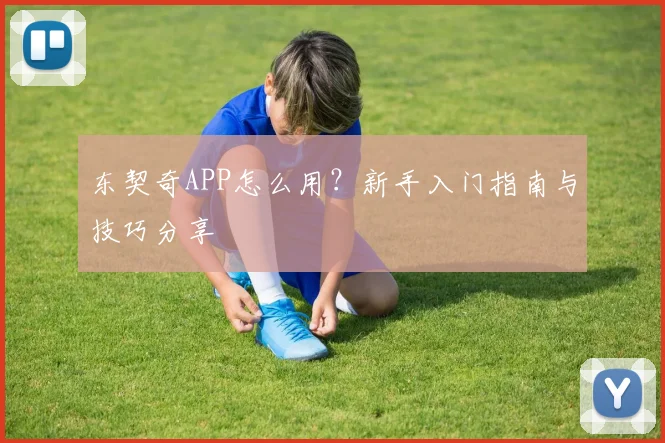 东契奇APP怎么用？新手入门指南与技巧分享