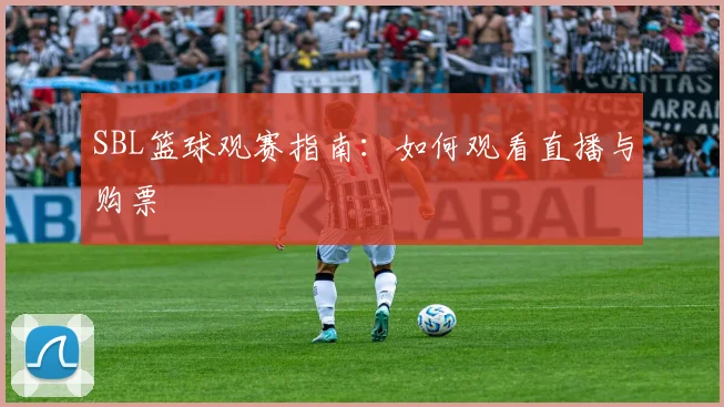 SBL篮球观赛指南:如何观看直播与购票