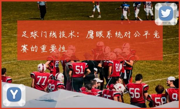足球门线技术:鹰眼系统对公平竞赛的重要性