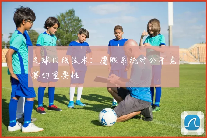 足球门线技术:鹰眼系统对公平竞赛的重要性